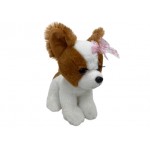 Hond zittend met wimpers Hond zittend met wimpers