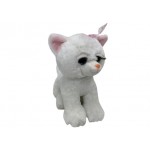 Poes zittend met wimpers Poes zittend met wimpers