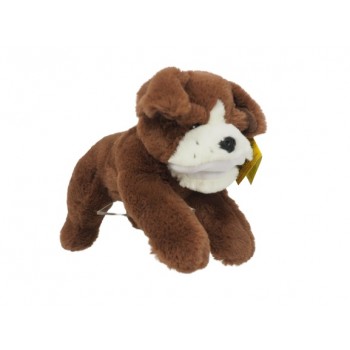 Hond bruin  met wit