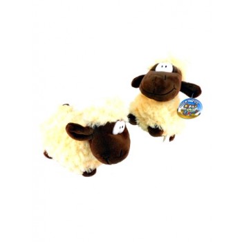 Schaap