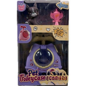 Pet set 