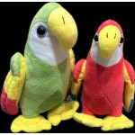 Papagaai 2 assortie 