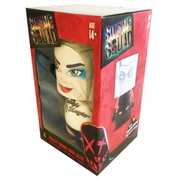 Harley quinn look a lite