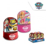 Paw patrol water globes  Paw patrol water globes