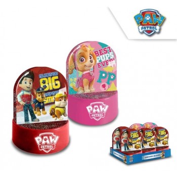 Paw patrol water globes 